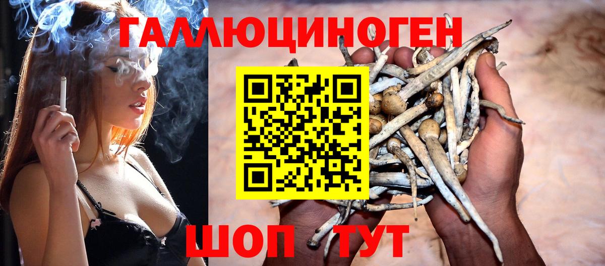 Псилоцибиновые грибы Cubensis Бугуруслан