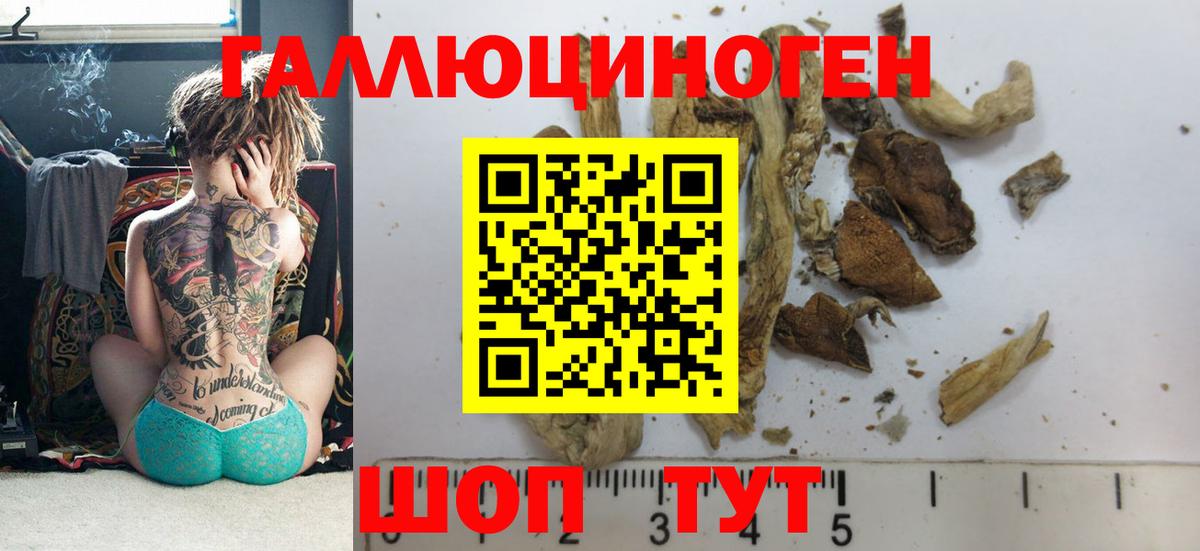 Галлюциногенные грибы Magic Shrooms  Псилоцибиновые грибы Magic Shrooms  Вход с VPN  Бугуруслан 