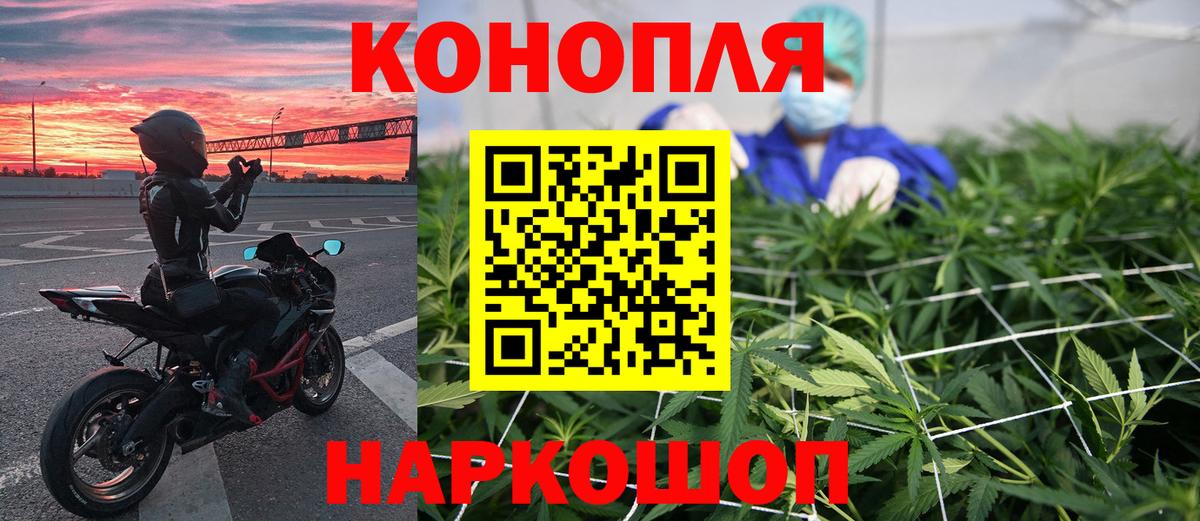 Бугуруслан  Каннабис планчик  Каннабис планчик  Вход с VPN  Канабис индика 